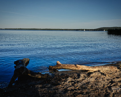 [2017-06-01] Rund um den Müggelsee [2017-06-01] Rund um den Müggelsee am 01.06.2017 18:27:54