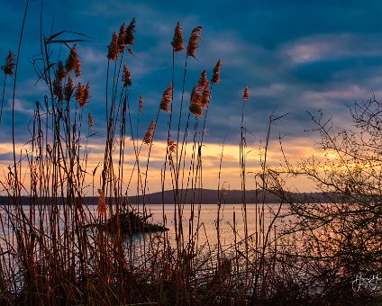 [2019-01-31] Winterabend am Müggelsee [2019-01-31] Winterabend am Müggelsee am