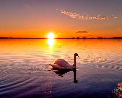 [2019-02-24] Strandbad Müggelsee Sonnenuntergang_17-18-32_00001