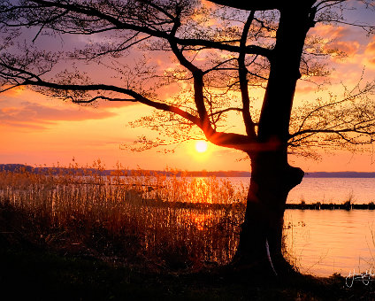 [2019-04-09] Frühlingsabend am Müggelsee [2019-04-09] Frühlingsabend am Müggelsee am 09.04.2019 18:23:41